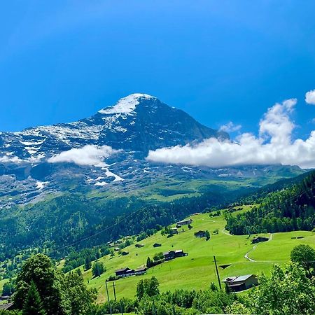 Moench Amazing Apartment Grindelwald Exterior foto